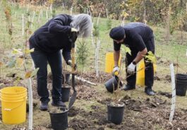 Community Stewardship Program - Toronto and Region Conservation ...