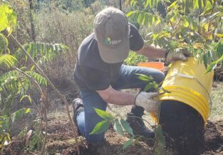 Community Stewardship Program - Toronto and Region Conservation ...