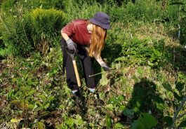 Community Stewardship Program - Toronto and Region Conservation ...