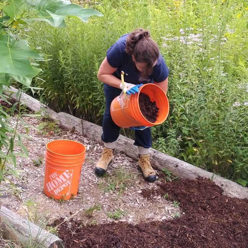 community volunteer takes part in the maintenance of the Medicine Wheel Garden at Heart Lake Conservation Park