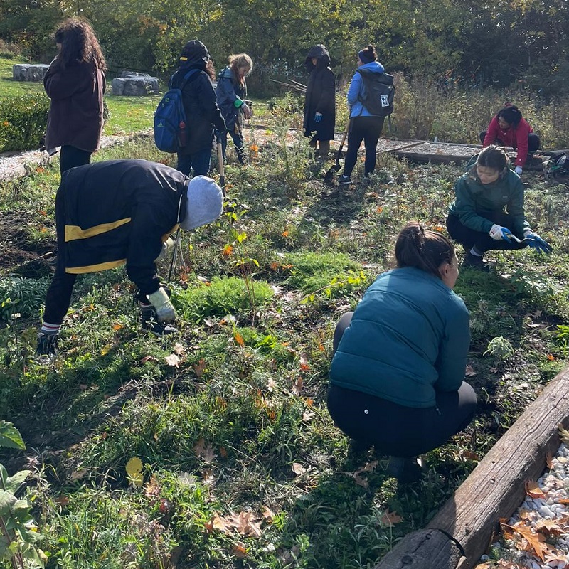 community volunteers take part in the maintenance of the Medicine Wheel Garden at Heart Lake Conservation Park