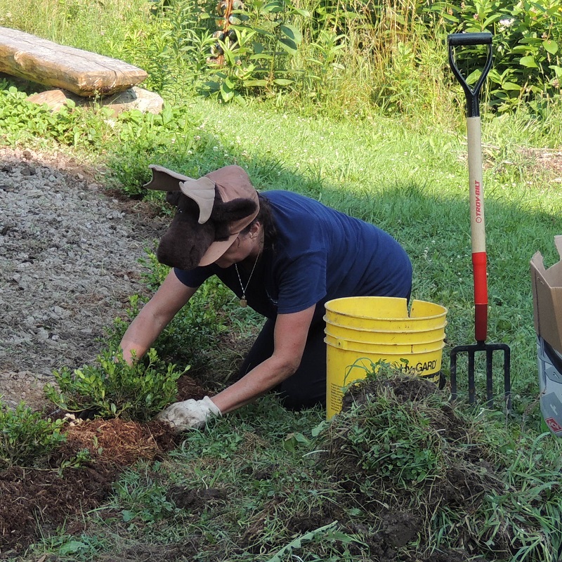 community volunteer takes part in the maintenance of the Medicine Wheel Garden at Heart Lake Conservation Park