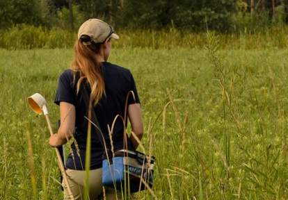 West Nile Virus assessment