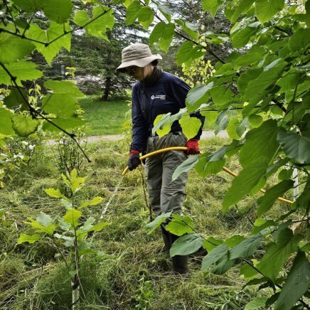 Community Stewardship Program - Toronto and Region Conservation ...