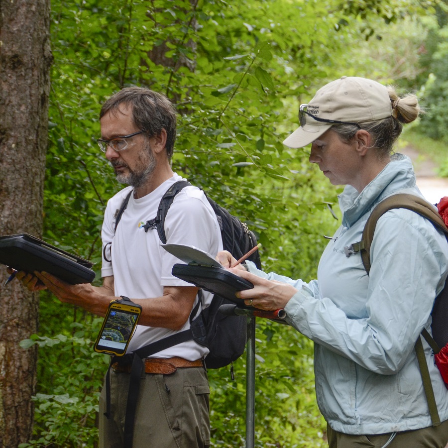 TRCA biologists conduct forestry monitoring