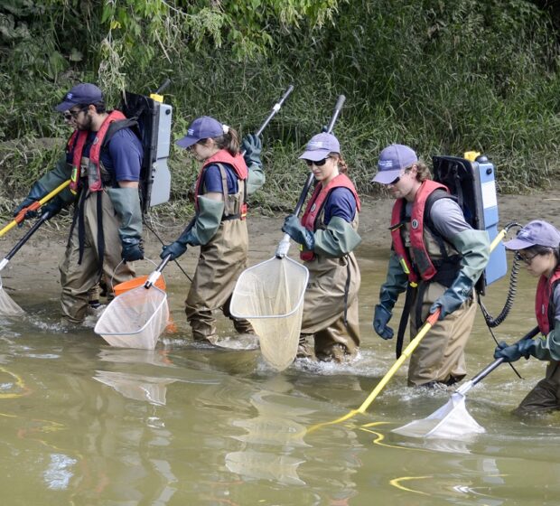 TRCA’s Regional Watershed Monitoring Program: Celebrating 25 Years of Impact