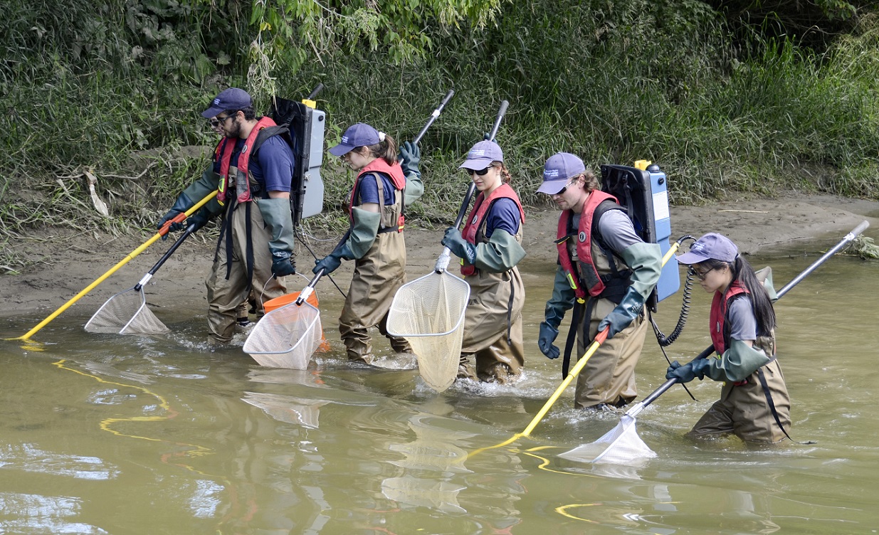 TRCA's Regional Watershed Monitoring Program - Toronto and Region ...