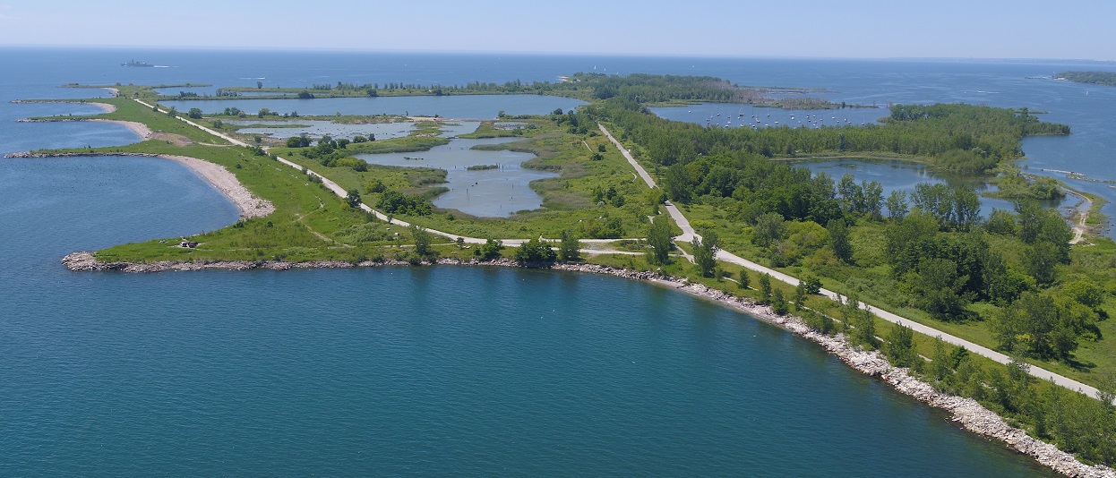 an aerial view of Tommy Thompson Park