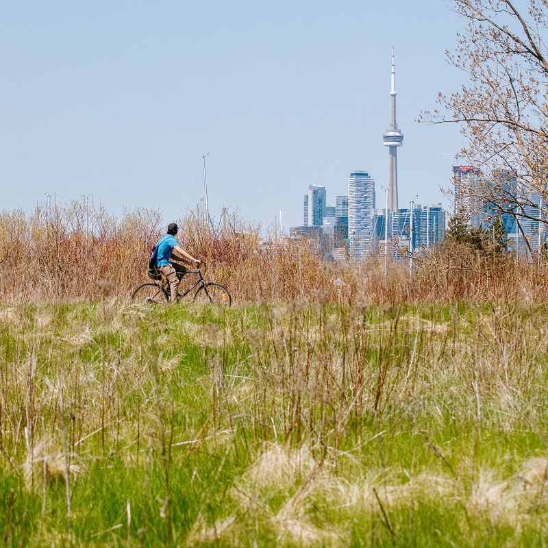 a cyclist explores the trails at Tommy Thompson Park on the Toronto waterfront