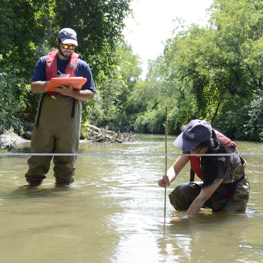 TRCA biologists conduct stream habitat research in the field