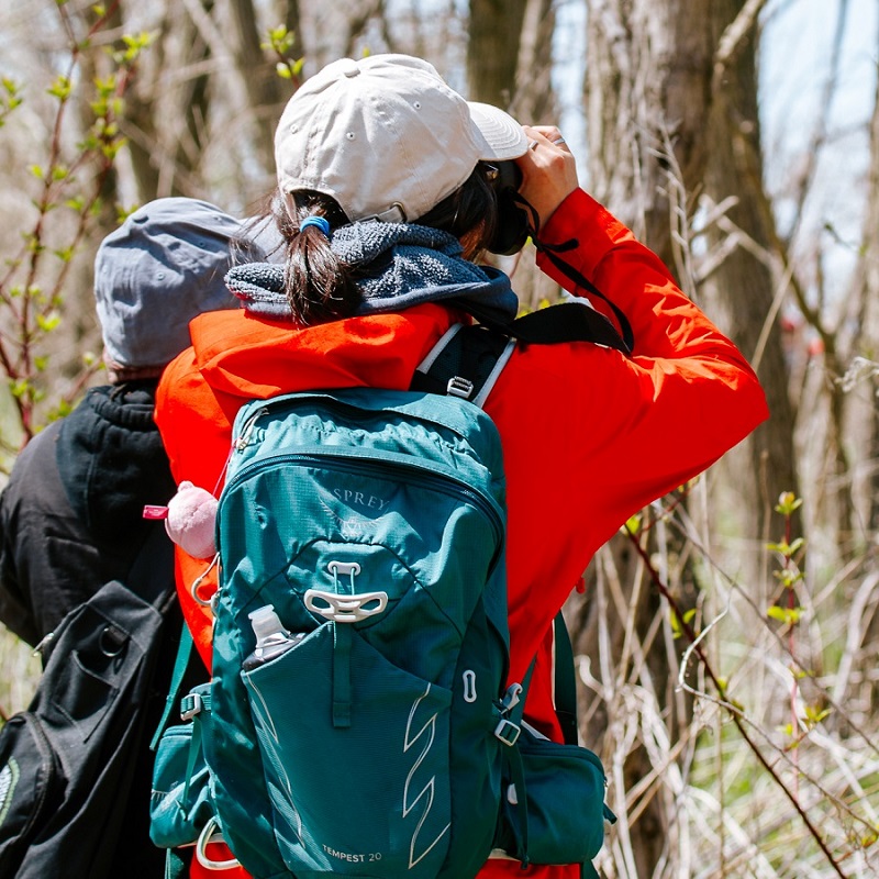 bird watchers use binoculars to search for birds at the TRCA spring bird festival at Tommy Thompson