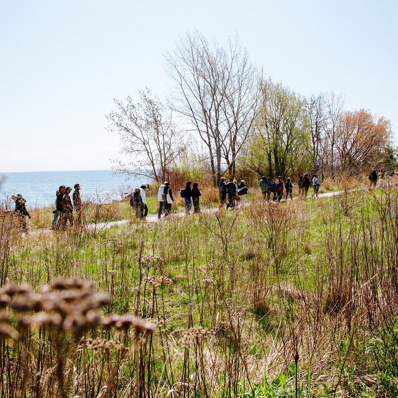 bird watchers explore a lakeside trail at Tommy Thompson Park during the spring bird festival