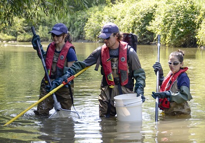 TRCA biologists conduct stream fishing habitat monitoring in the field