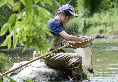 TRCA biologist conducts benthic macroinvertebrate monitoring in the field