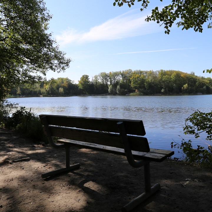 a bench overlooking the lake at Heart Lake Conservation Park