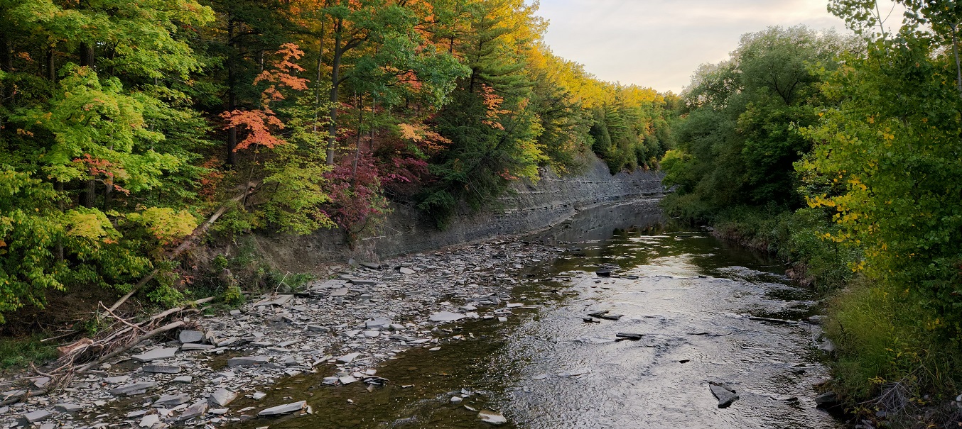 View of Etobicoke Creek near Centennial Park