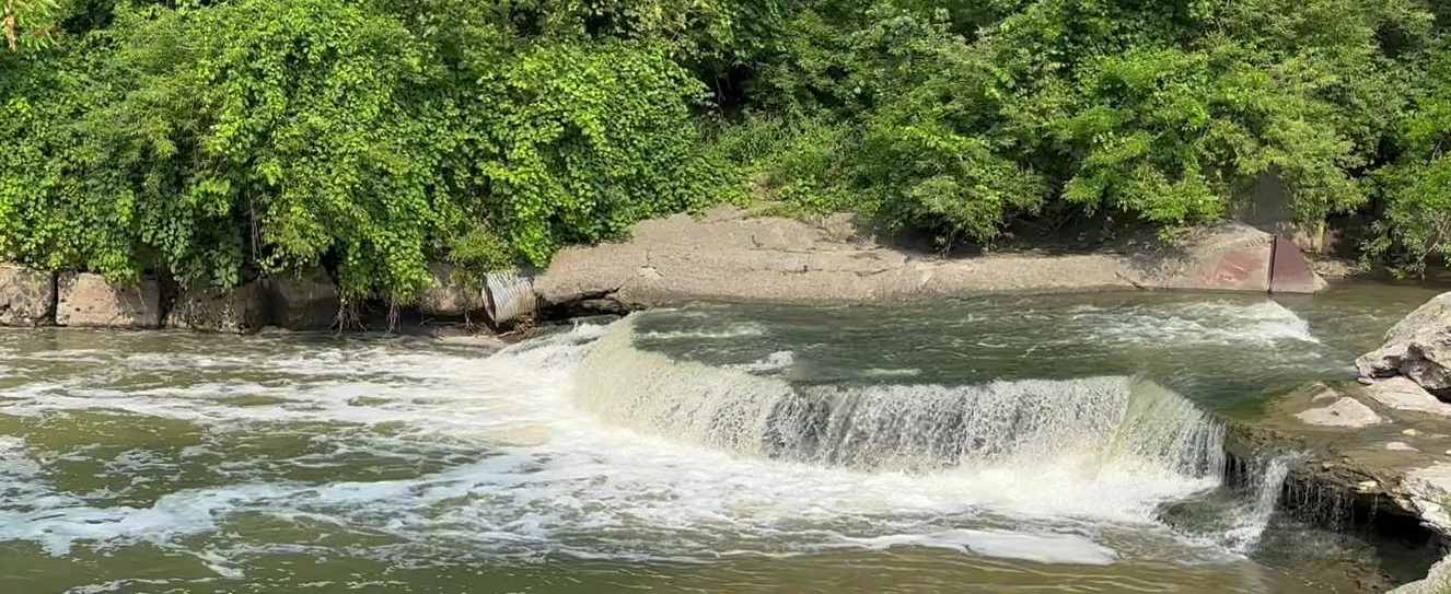 an in-stream barrier in Etobicoke Creek located near the Toronto Golf Club