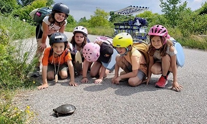 a group of summer campers encounter a turtle on a multi-use trail at Tommy Thompson Park