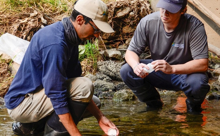 TRCA team members conduct stream water quality monitoring in the field