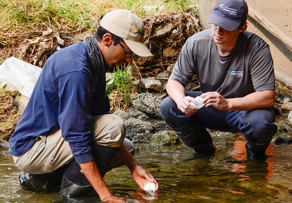 TRCA team members conduct stream water quality monitoring in the field
