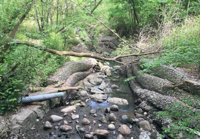 Yellow Creek below Heath Street East
