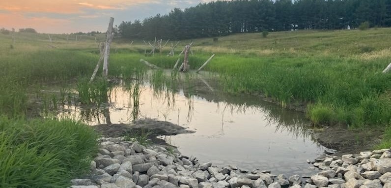 Nashville site post restoration site assessment August 2021