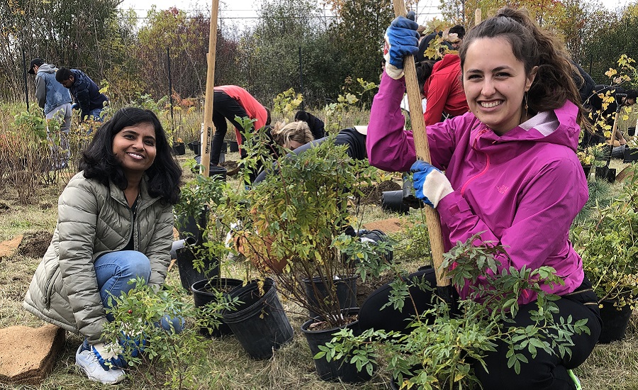 SNAP community champions take part in a planting event