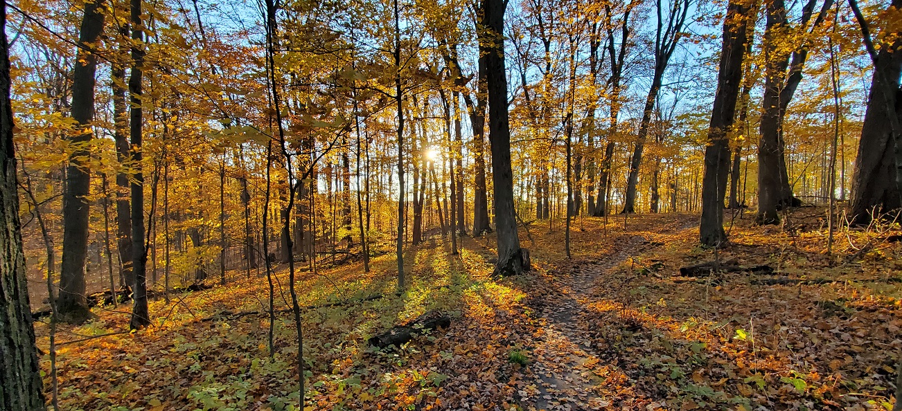 Albion Hills Conservation Park