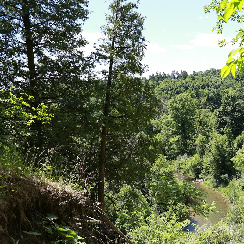 Nashville Conservation Reserve