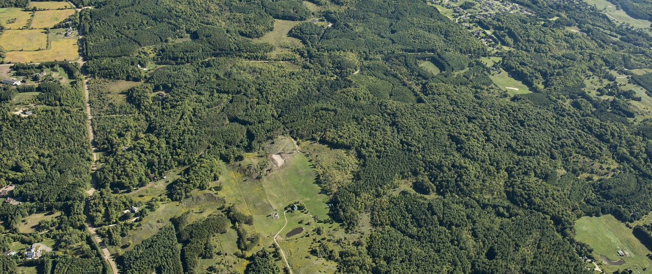 an aerial view of Palgrave Forest and Wildlife Area