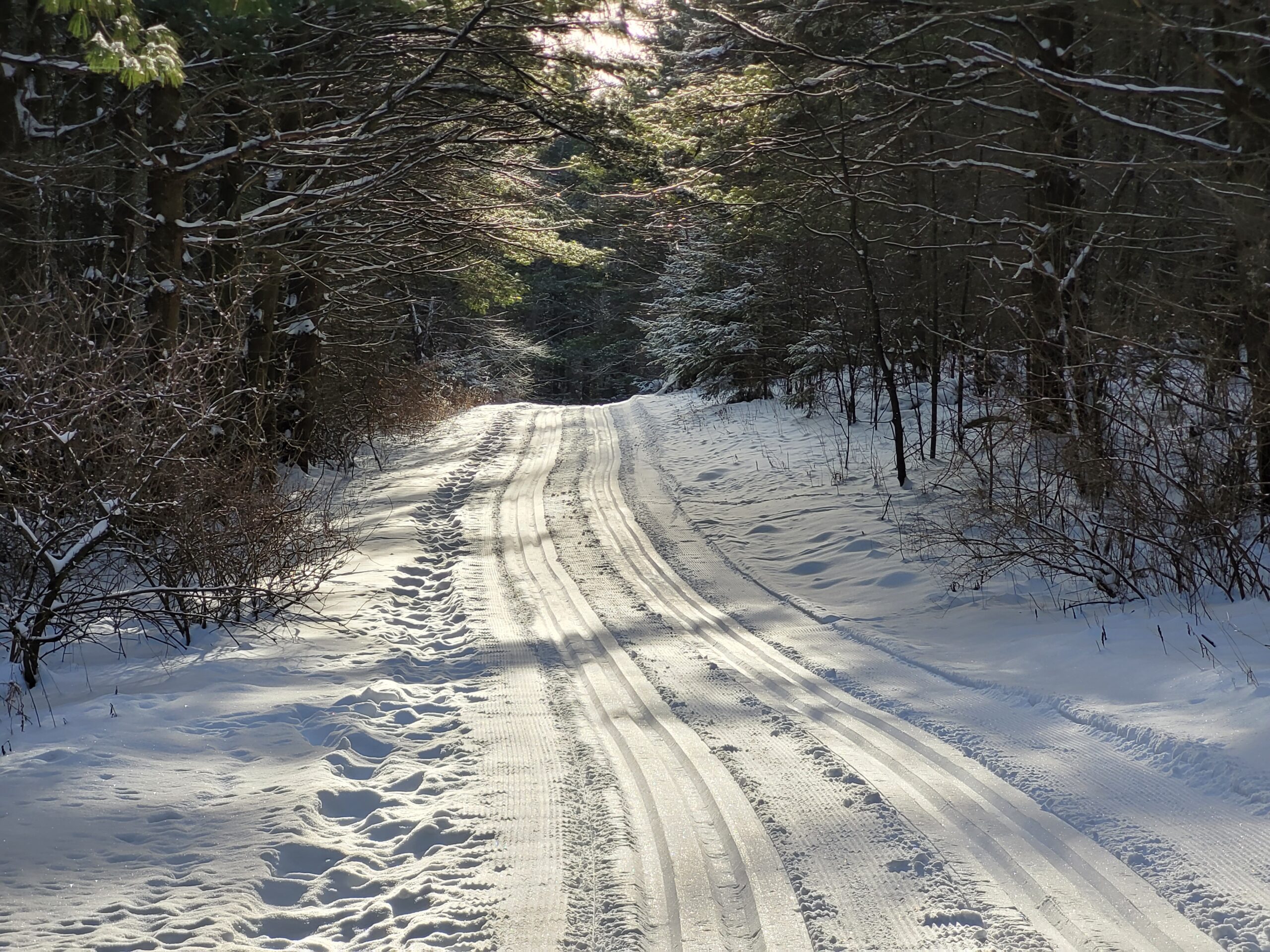 Snowy trails at albion hills