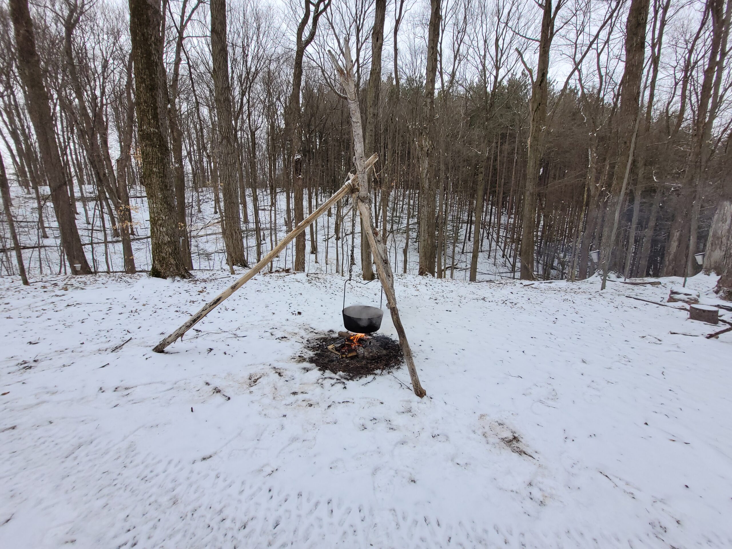 Snowy trails at albion hills