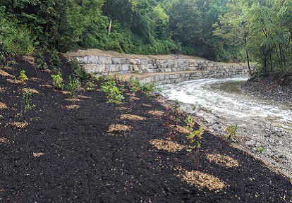 Completed armourstone wall and restored access with native shrub plantings surrounded by seeding
