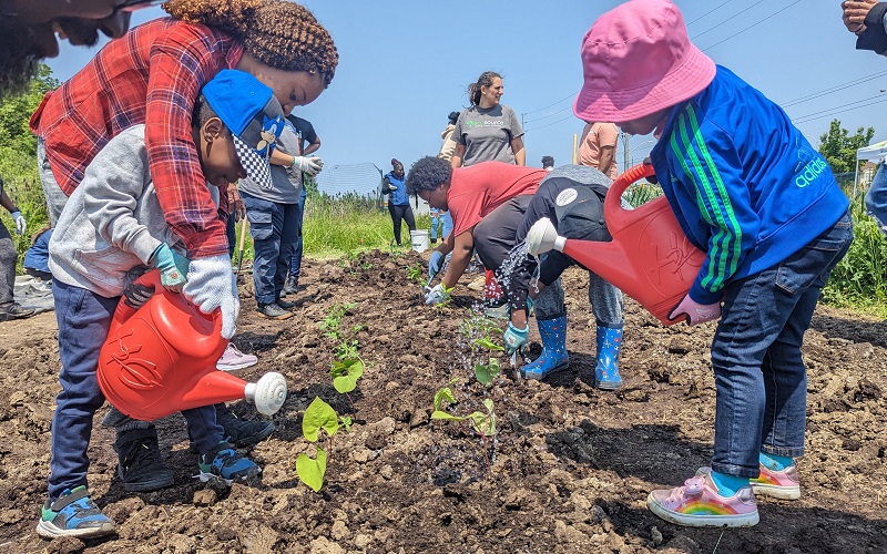 SNAP neighbourhood residents take part in a community planting event