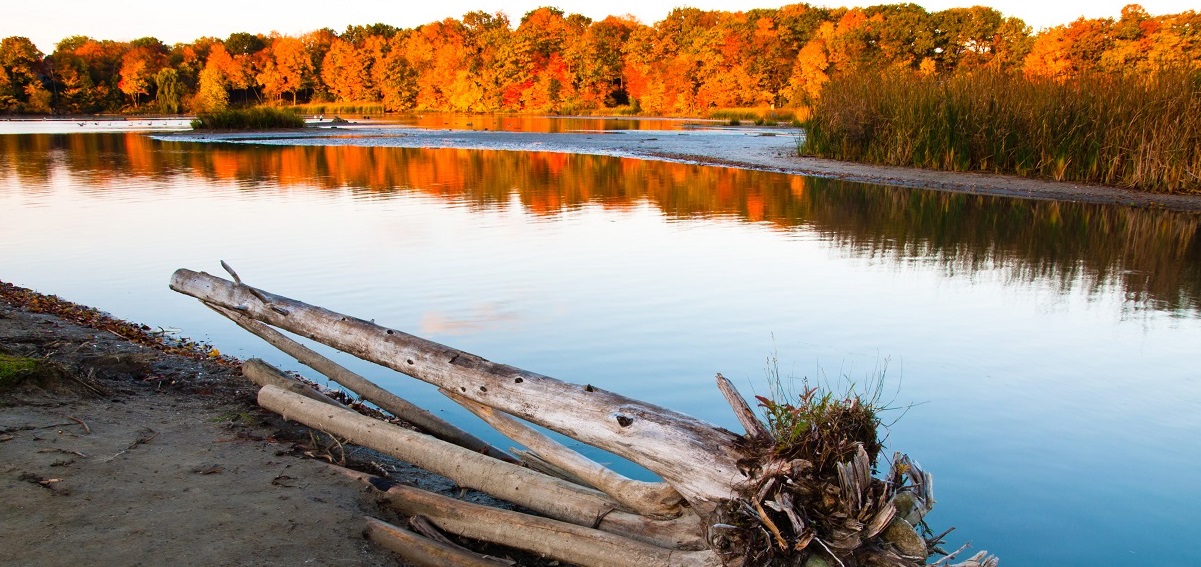 a pond at the south end of the Rouge River