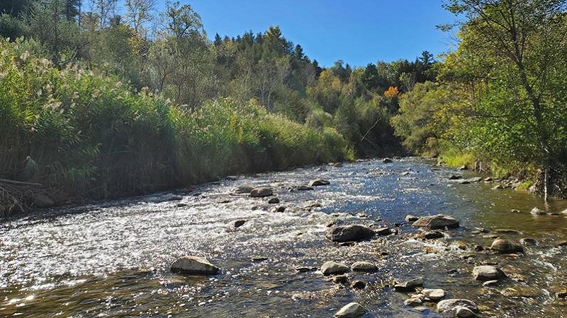 a view of the Rouge River on a sunny day in early autumn