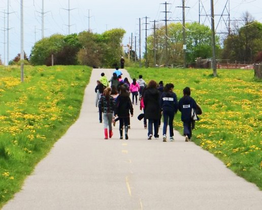 students take part in a school field trip to The Meadoway
