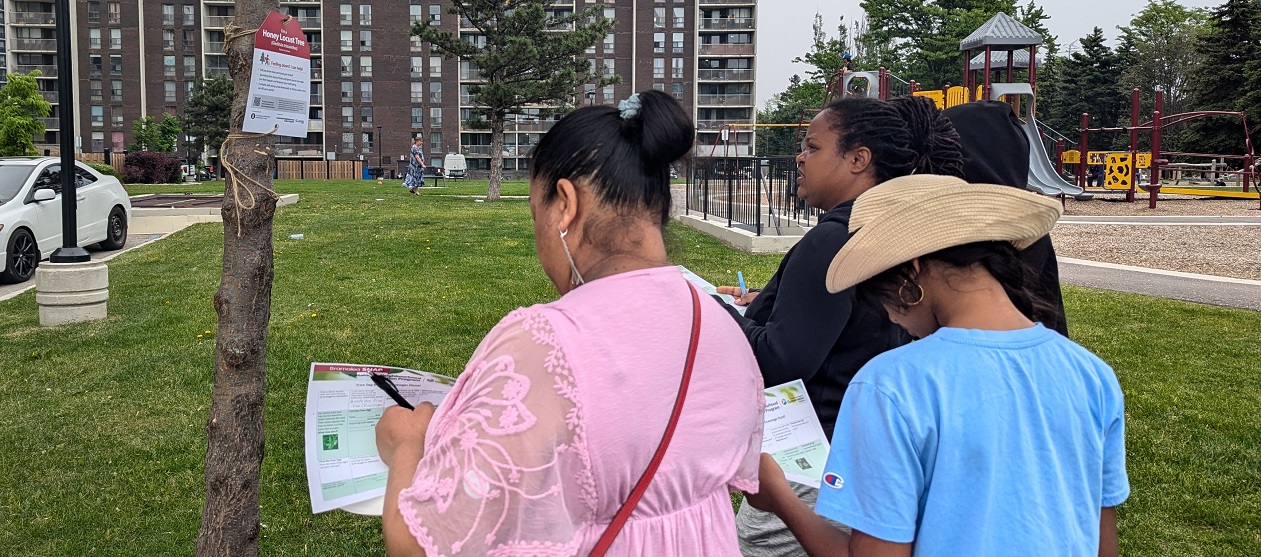 Bramalea SNAP neighbourhood residents take part in a tree tag event