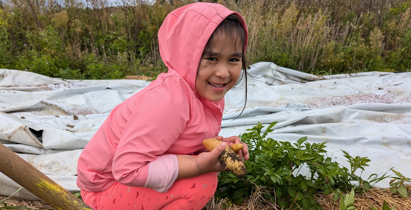a youngster picks potatoes at a community farm as part of an urban agriculture skills training activity