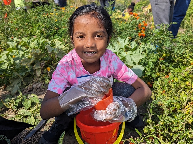 a youngster takes part in a Bramalea SNAP urban agriculture skills training program