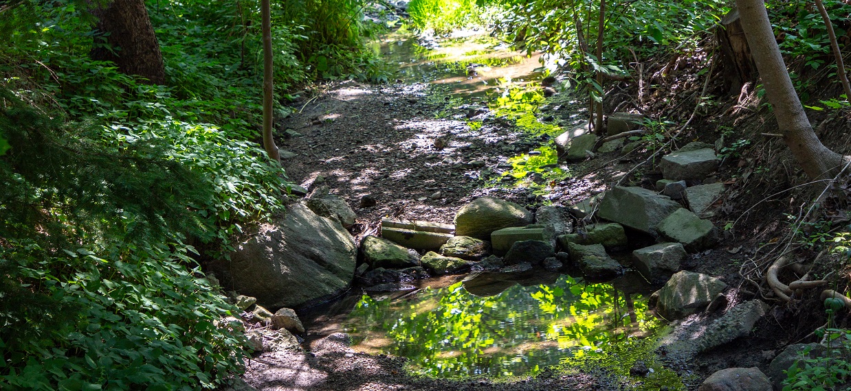 Jaffarys Creek is visible above ground at King Street West and Connaught Crescent