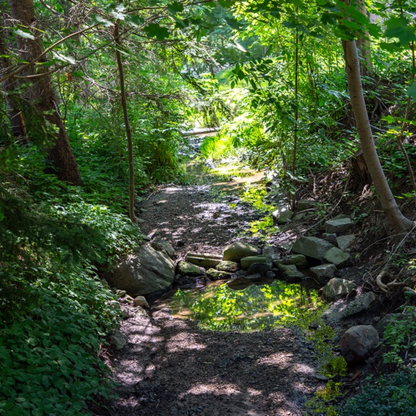 Jaffarys Creek is visible above ground at King Street West and Connaught Crescent