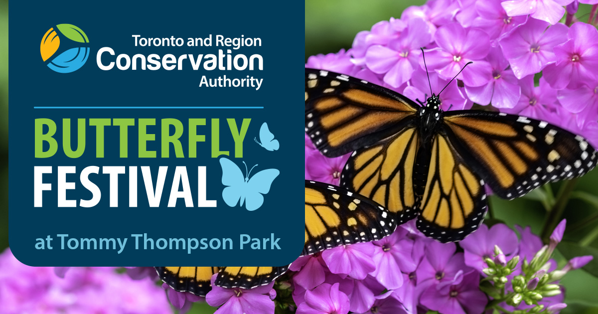 the TRCA Butterfly Festival takes place at Tommy Thompson Park on Saturday August 23 2025
