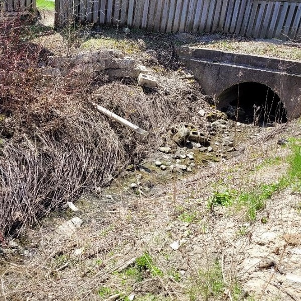 Jaffarys Creek before erosion remediation efforts