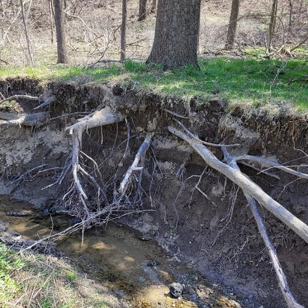 Jaffarys Creek before erosion remediation efforts