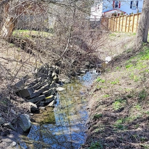 Jaffarys Creek before erosion remediation efforts