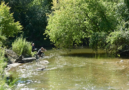 TRCA team members conduct water quality monitoring in a rural stream