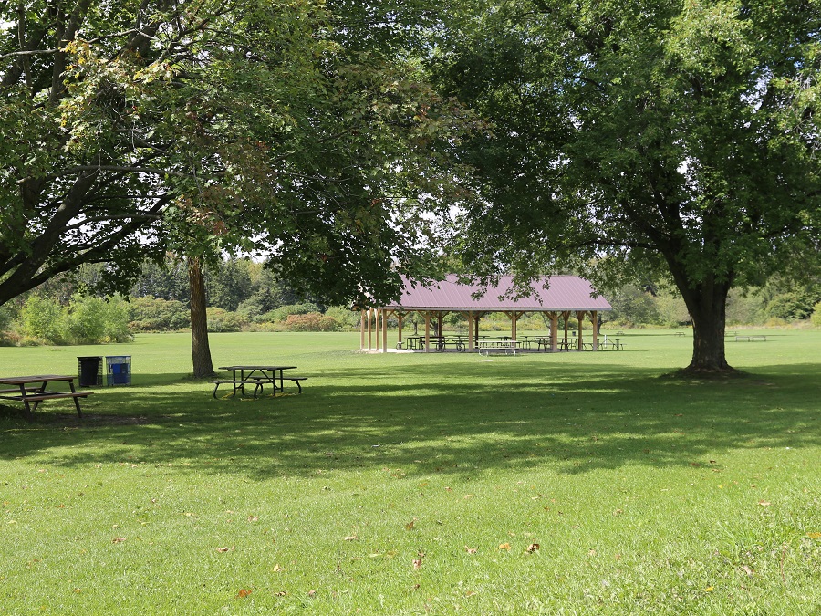 Bruces Mill Conservation Park