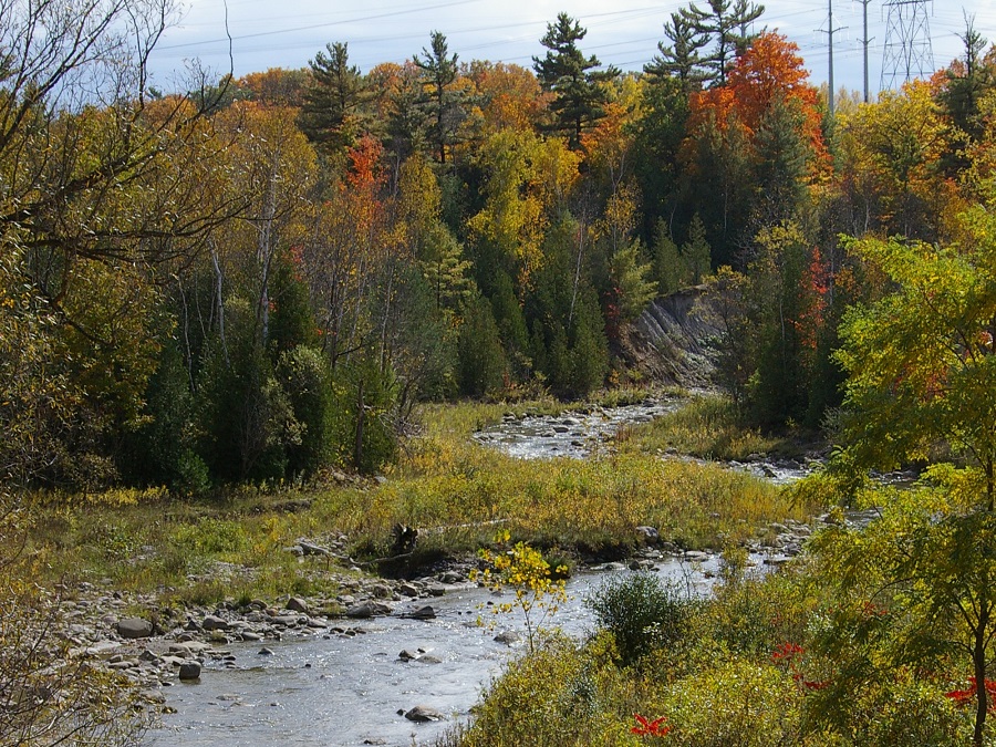 Rouge National Urban Park