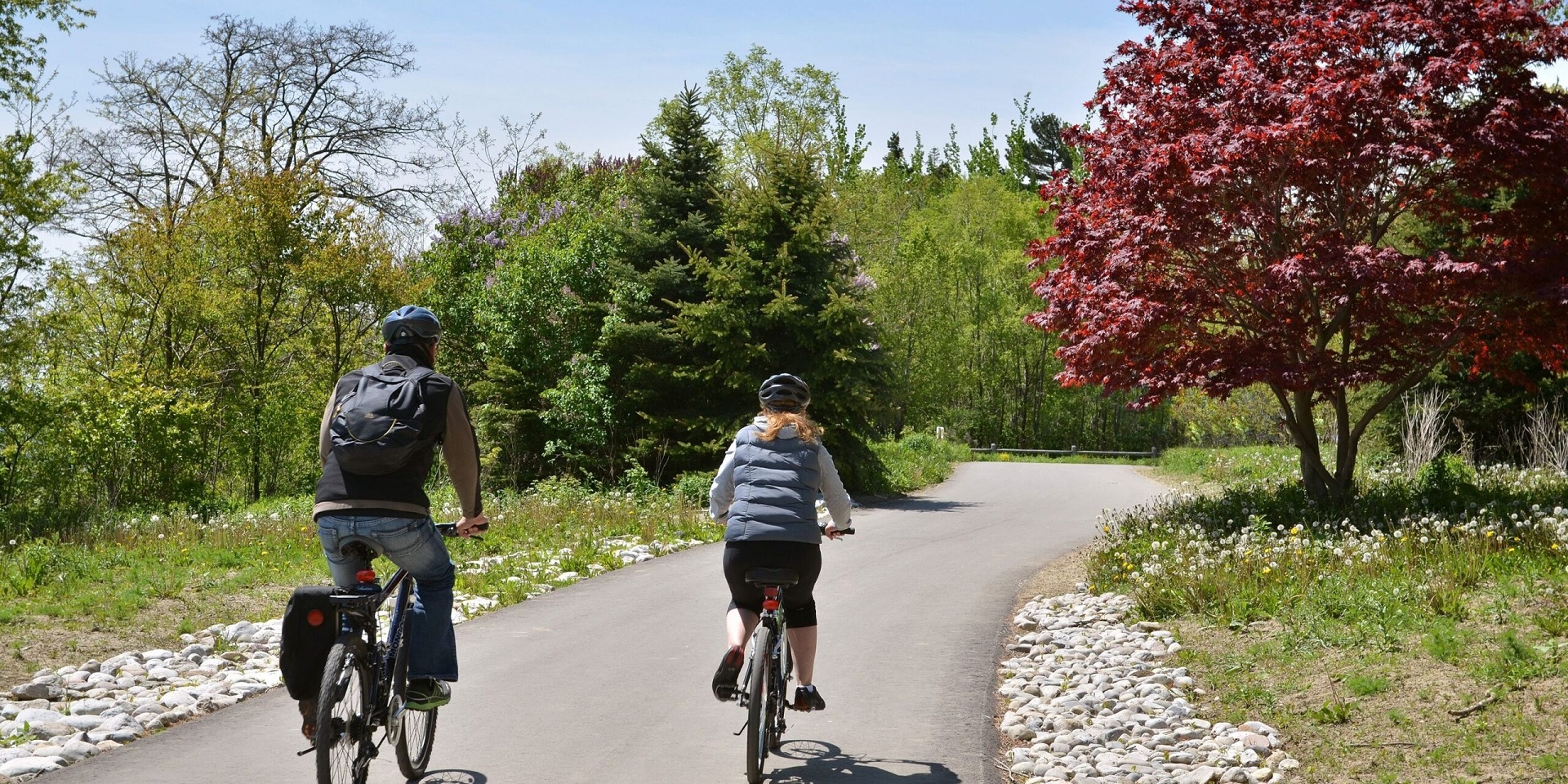 Brimley Road South Multi-use trail - site photo 2